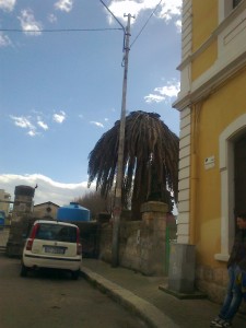 palme stazione ferroviaria