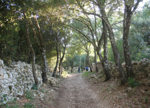 Walking Apulia Forest: benessere nella natura pugliese