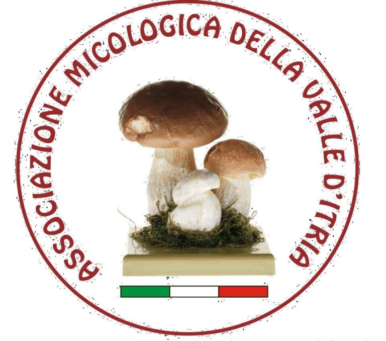 assomicovalleditria-6744389997263.jpg.orig