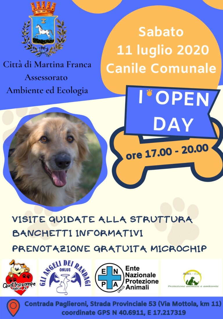 WhatsApp Image 2020-07-07 at 11.21.29