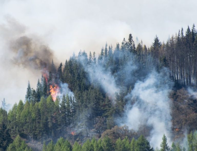 prevenzione incendi Puglia