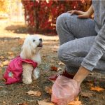 Prime multe per deiezioni canine non raccolte: scattano i controlli