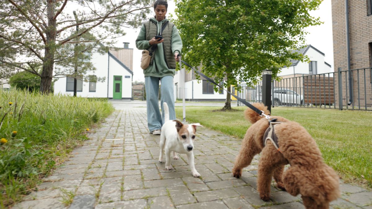 Appello dell’Assessorato all’Ambiente contro l’uso di topicidi a Martina Franca
