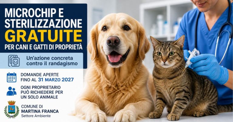 Microchippatura e sterilizzazione gratuite per cani e gatti a Martina Franca