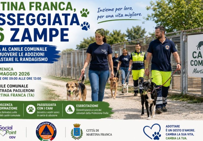 Passeggiata a 6 Zampe al Canile Comunale con volontari e cani in cerca di adozione