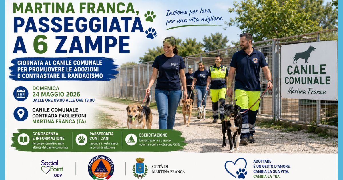 Passeggiata a 6 Zampe al Canile Comunale con volontari e cani in cerca di adozione